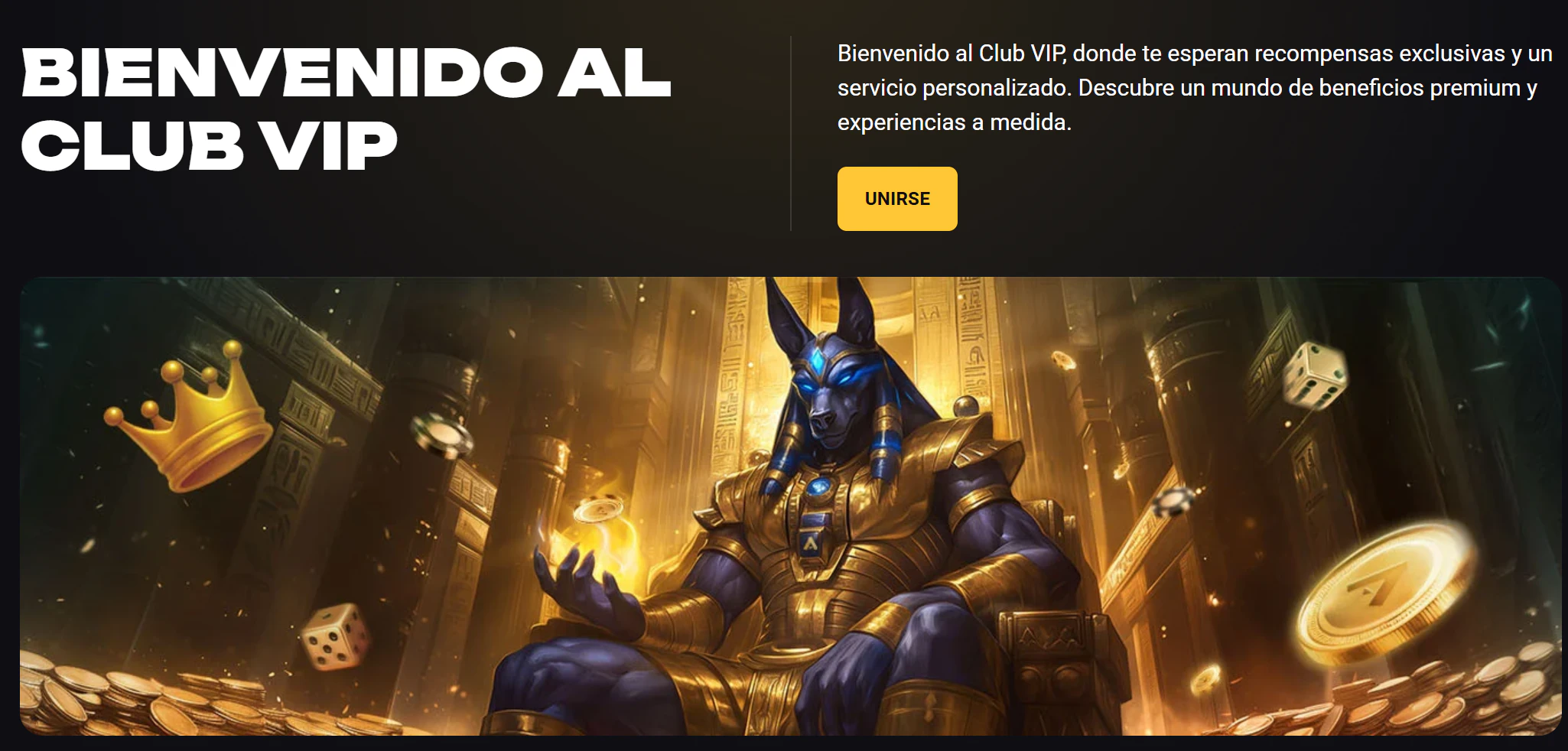 Programa VIP de amonbet